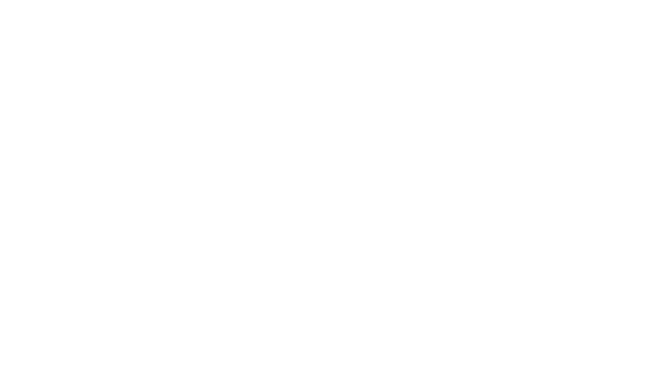 Archer Knox Security